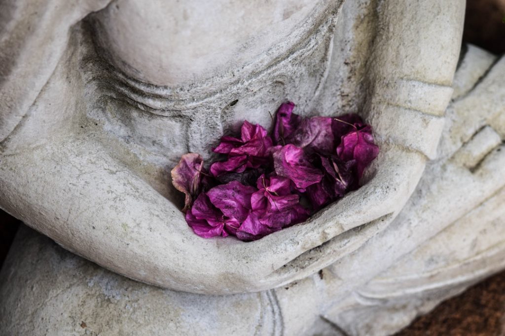 Flowers healing
